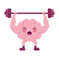 Strong Mind Barbell Royalty Free Stock Photo