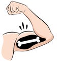 Strong Muscles Bones Male Arm Flexing Bicep Royalty Free Stock Photo