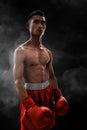 Strong muscular boxer on smoke backgrounds Royalty Free Stock Photo