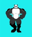 Strong panda. powerful chinese bear. vector illustration