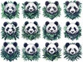 Strong Pandas Leading with Green Bandanas
