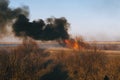 Strong prairie fire with large clouds of choking smoke erupted in southern steppe. Royalty Free Stock Photo