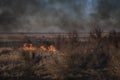 Strong prairie fire with large clouds of choking smoke erupted in southern steppe. Royalty Free Stock Photo