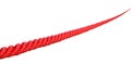 Strong red climbing rope Royalty Free Stock Photo