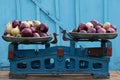 Strong red and white onions on two bowls of old Soviet-era scales against a dilapidated light blue wooden wall. Royalty Free Stock Photo