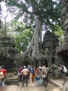 Tourists at Temple Of Ta Phrom, Angkor, Cambodia
