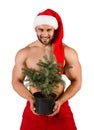 Strong Santa Claus with Christmas tree in a pot in his hand, Royalty Free Stock Photo