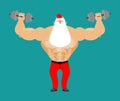 Strong Santa Claus with dumbbell. Fitness man. Bodybuilder Chris