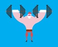 Strong Santa Claus and dumbbells. Christmas fitness. Dumbbell pr