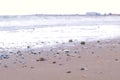 Strong sea waves on the sandy shore. Shells of rapan on the sand.