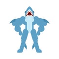 Strong shark. Powerful marine predator. Fish Strongman