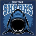 Strong shark sports mascot. Vector illustration.