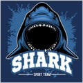 Strong shark sports mascot. Vector illustration.