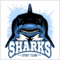 Strong shark sports mascot. Vector illustration.