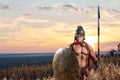 Strong Spartan warrior in battle dress with a shield and a spear Royalty Free Stock Photo