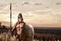 Strong Spartan warrior in battle dress with a shield and a spear Royalty Free Stock Photo