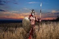 Strong Spartan warrior in battle dress with a shield and a spear