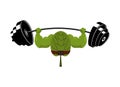 Strong spinach and barbell. Healthy useful plant athlete. Food f