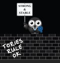 Strong and Stable