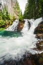 Strong stream of mountain waterfall in green forest - wide angle vertical shot. Beautiful and power waterfall with turquoise water Royalty Free Stock Photo