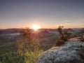 Strong sun rays make long strips in mist.  Beautiful Landscape Royalty Free Stock Photo