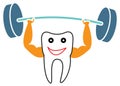 Strong tooth Royalty Free Stock Photo