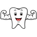 Strong tooth cartoon Royalty Free Stock Photo