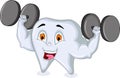 Strong tooth character Royalty Free Stock Photo