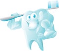 Strong tooth with toothbrush Royalty Free Stock Photo