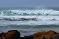 Strong waves hitting the coast of Griffiths Island in Victoria