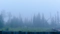 A strong white morning fog envelops the residential plot under construction with trees and the beginning of the log house