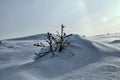 Strong wind on snowy slope of mountain. Drifting snow Royalty Free Stock Photo