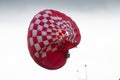 Strong Winds and a Hot Air Balloon Disaster