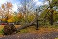 Strong winds in Molson Park at Montreal Royalty Free Stock Photo