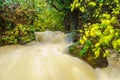 Strong winter waterflow in the Banias River Royalty Free Stock Photo