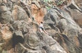 Strong woman climbing a rock wall in a canyon - Climber training outdoor - Travel, adrenaline and extreme dangerous sport concept