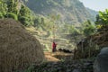 Strong woman working in the rice fields in Nepal