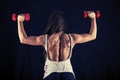 Strong young woman doing dumbbell push press Royalty Free Stock Photo