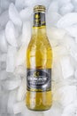 Strongbow Gold Apple Cider 330 ml - 4.5 Royalty Free Stock Photo