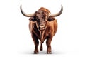 Strongest dark brown bull with muscles and long horns portrait looking at camera isolated on clear png background, Animals Fighter