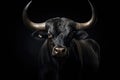 Strongest dark brown bull with muscles and long horns portrait looking at camera isolated on clear png background, Animals Fighter