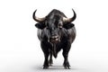 Strongest dark brown bull with muscles and long horns portrait looking at camera isolated on clear png background, Animals Fighter