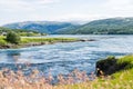 Strongest tidal current in the world at norwegian fjord in Saltstraumen near Bodo surrounded by forest and mountains Royalty Free Stock Photo