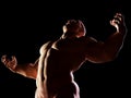 Strongman, hero showing his muscular body. Winner. Royalty Free Stock Photo