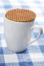 Stroopwafel on the cup Royalty Free Stock Photo