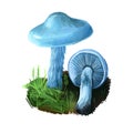 Stropharia caerulea or roundhead mushroom closeup digital art illustration. Boletus has blue cap sparsely covered in