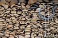Strorage of firewood for winter heat