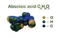 Structural chemical formula and molecular model of abscisic acid, a plant hormone that functions in many developmental Royalty Free Stock Photo