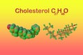 Structural chemical formula and molecular model of cholesterol. It is an organic molecule, a sterol, a type of lipid Royalty Free Stock Photo