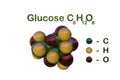 Structural chemical formula and molecular model of glucose or dextrose, a simple sugar circulates in the blood as blood